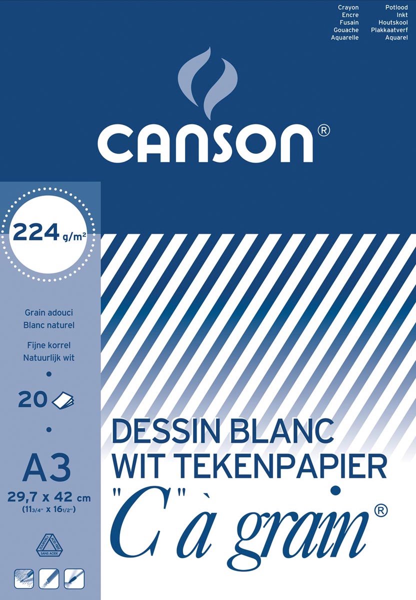 Canson bloc à dessin c à grain 224 g format m² 297 x 42 cm (a3)