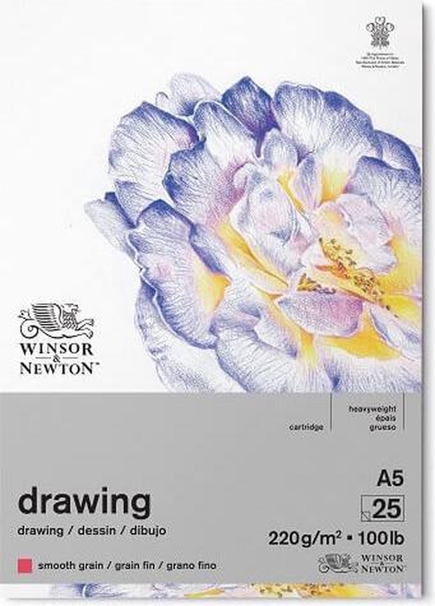 Winsor Newton bloc à dessin grain fin A5