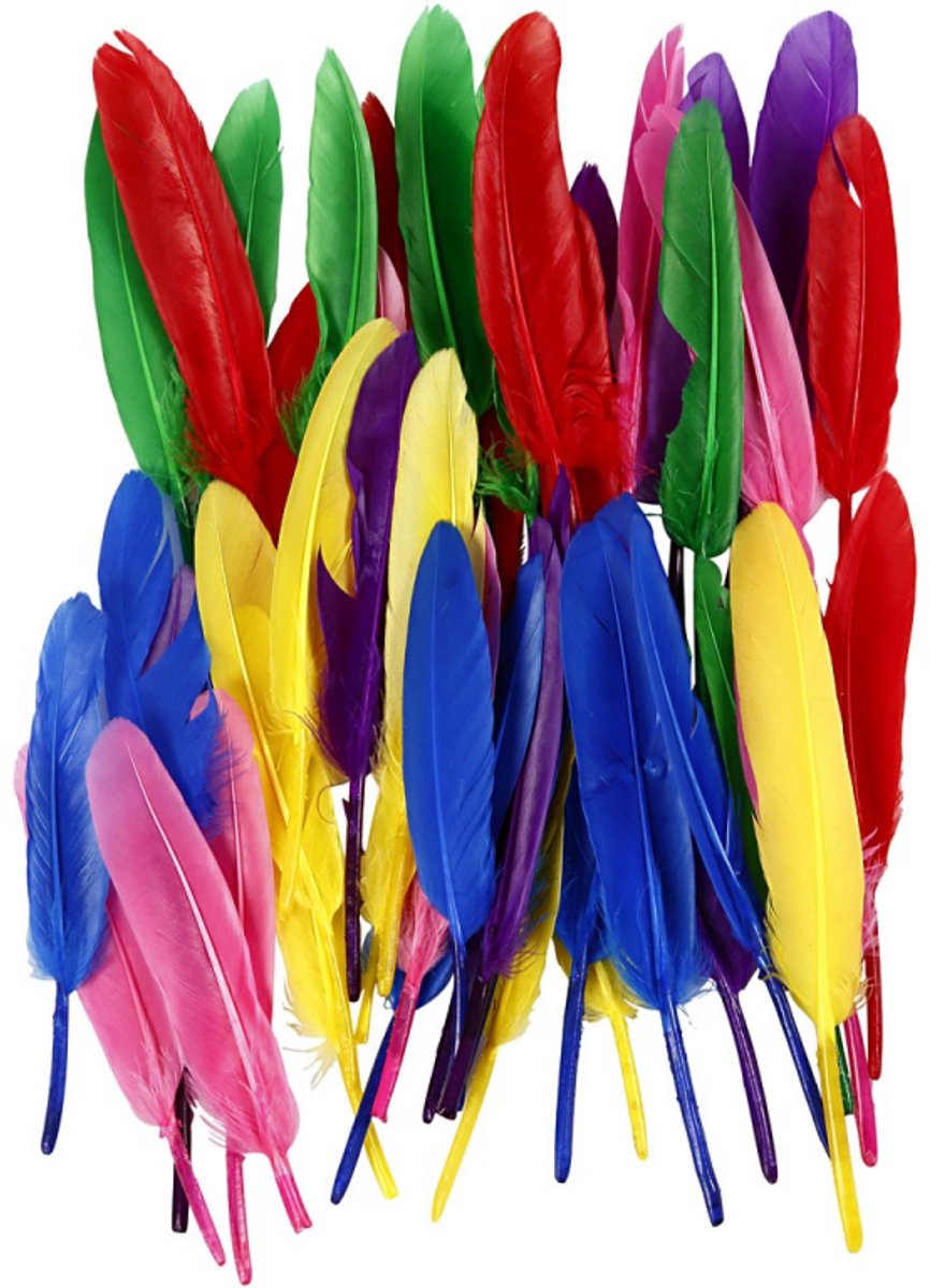 Société créative https : www.ccobby.nl plumes-l-13-cm-diverses-couleurs-48-pièces-1-boîte
