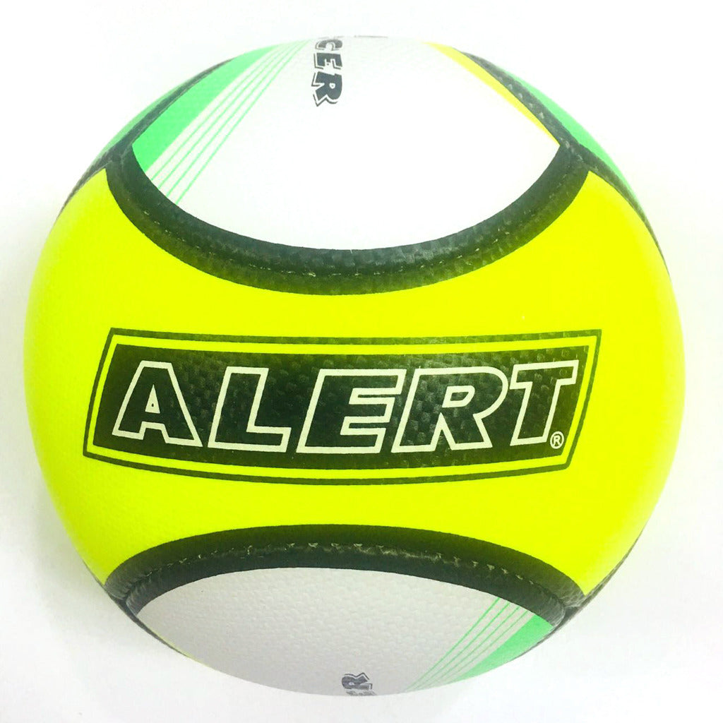 Ballon de plage Alert taille 5
