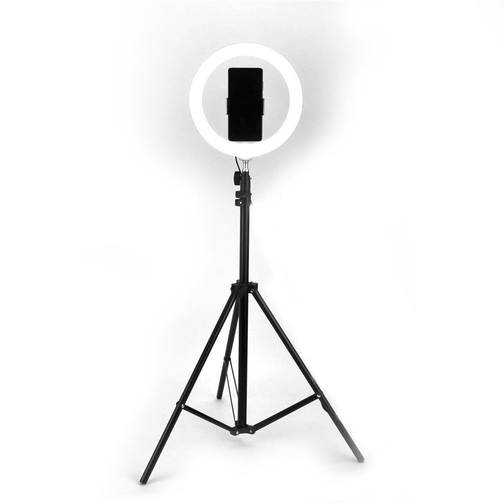 Lampe annulaire Basic Selfie 26 cm avec trépied 210 cm