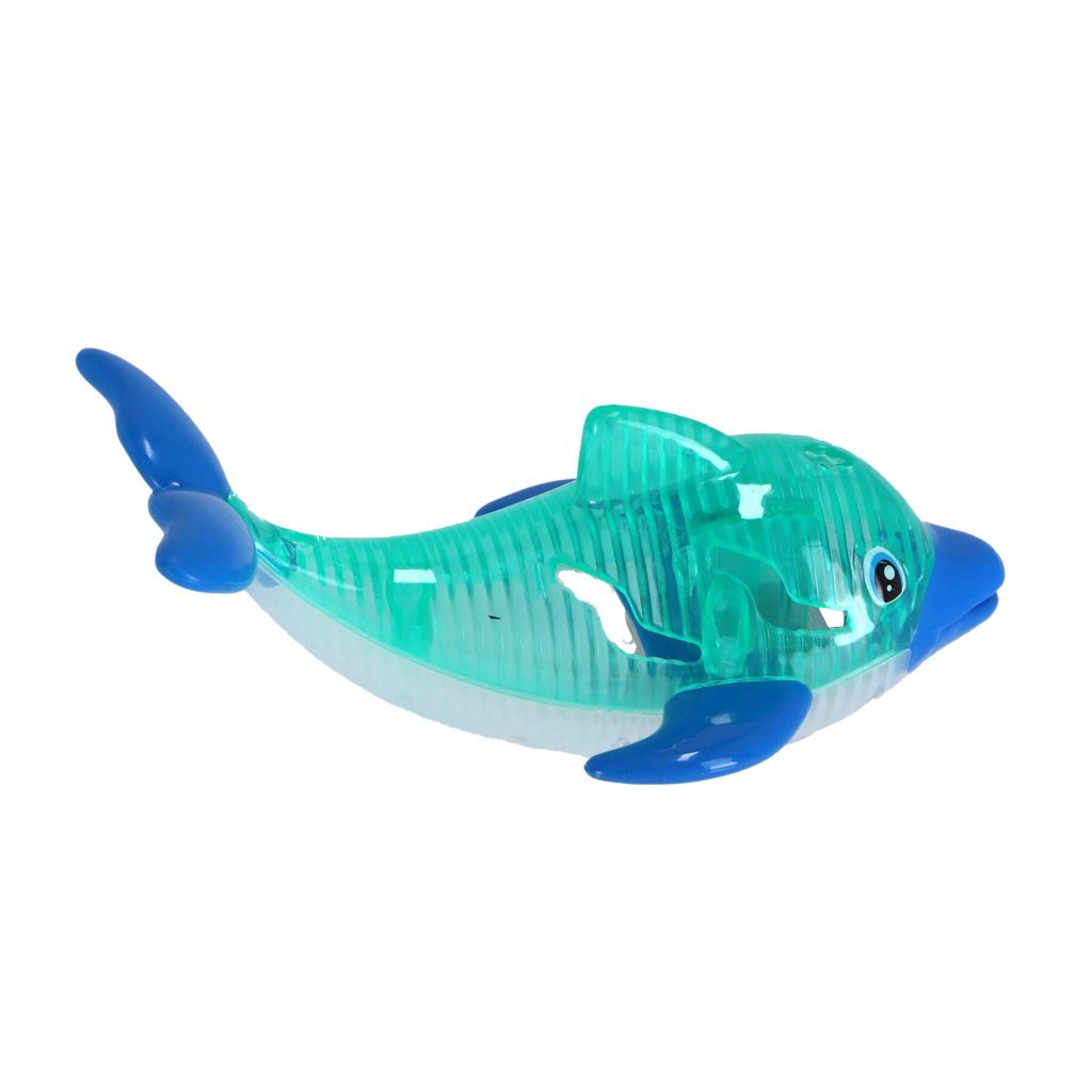 Plongez les dauphins avec la lumière