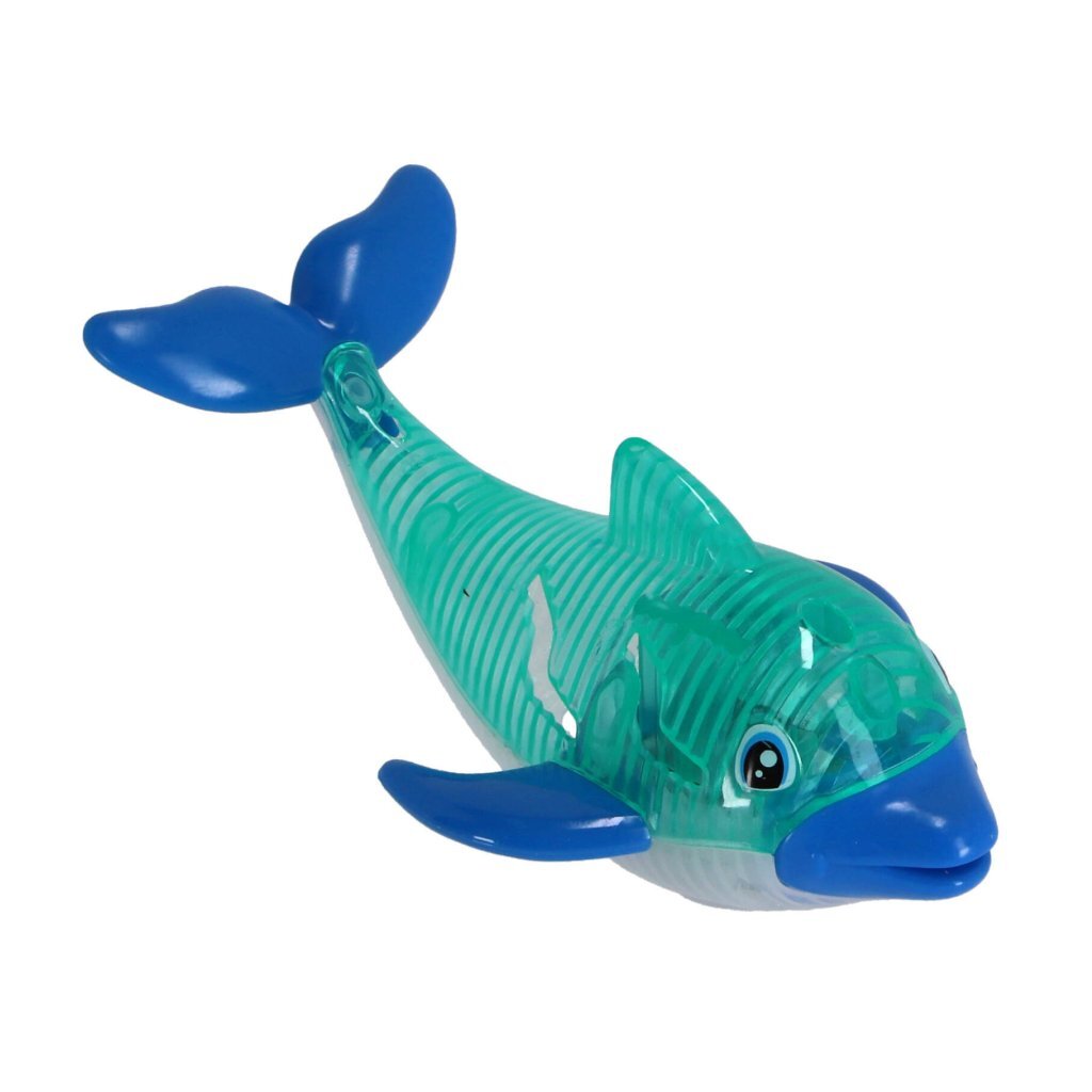 Plongez les dauphins avec la lumière