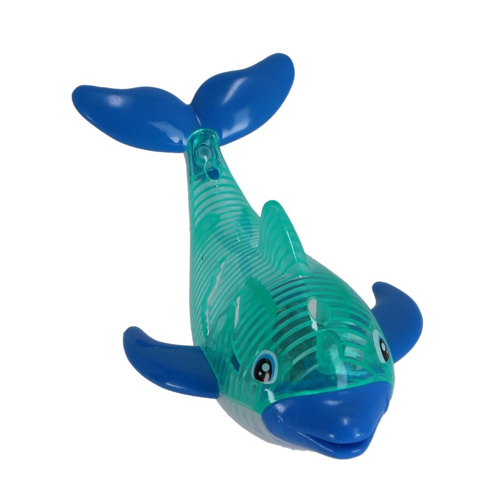 Plongez les dauphins avec la lumière