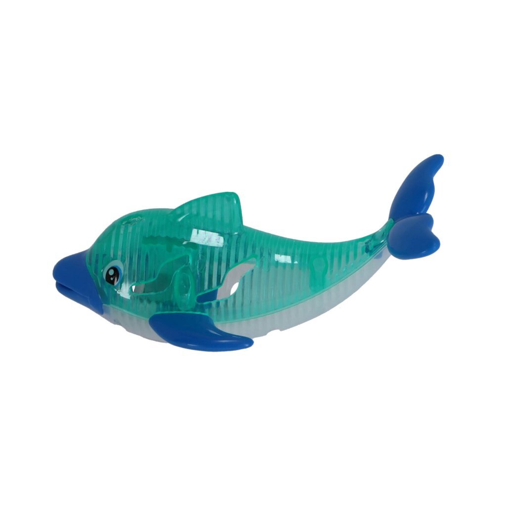 Plongez les dauphins avec la lumière
