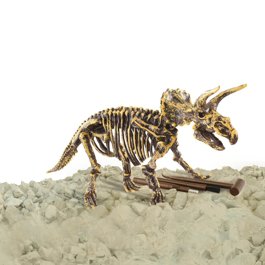 Dino base dinobase dino sculpture tricératops 3d ensemble | 3 pièces