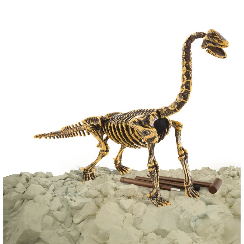Dino base dinobase dino sculpture brachiosaure 3d ensemble | 3 pièces