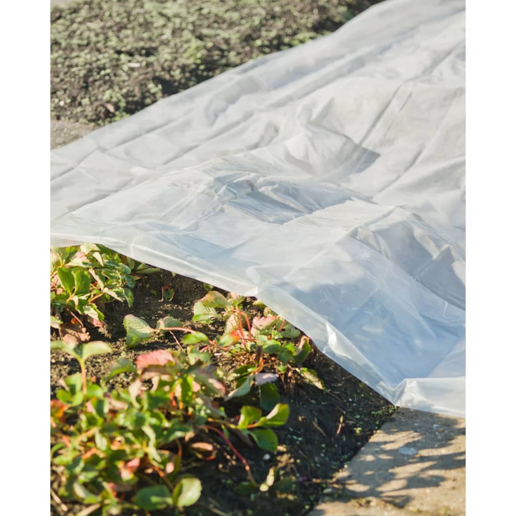 Couverture de la plante naturelle 4x6 m 200 µs transparente