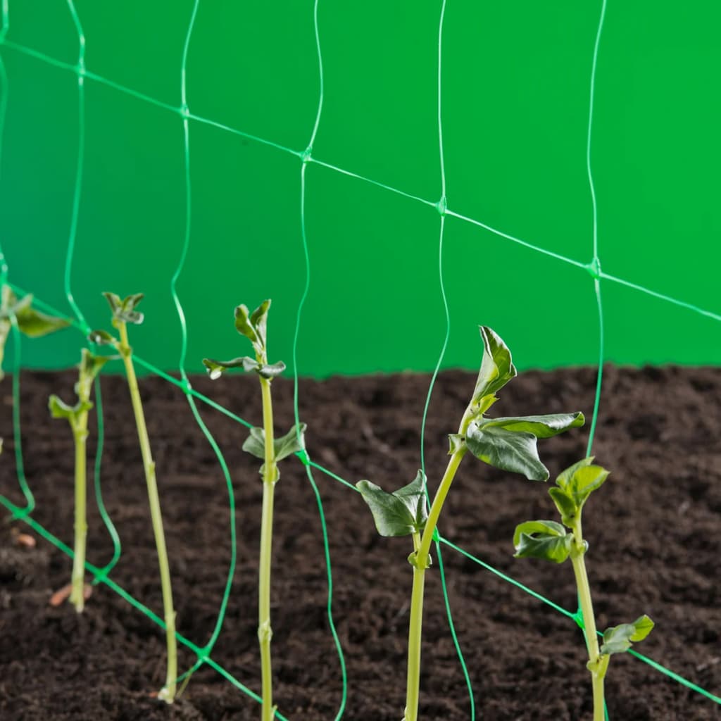 Nature klimnet pour les plantes vertes 2x5 m 6030430