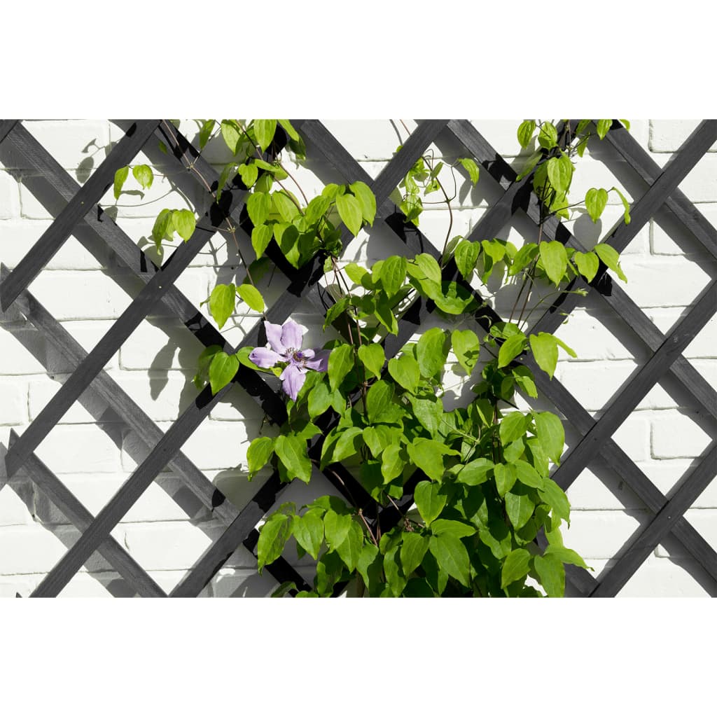 Nature Garden Slat Travail 50x150 cm Anthracite en bois -colore