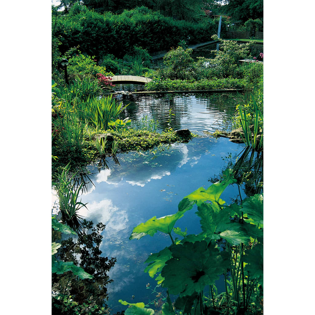Ubbink Pond Filtre Matière Lava Rock volcanique 16-32 mm 10 L