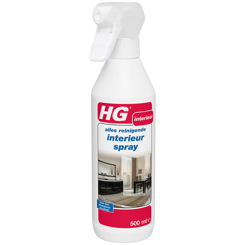 Hg hg spray intérieur 500ml