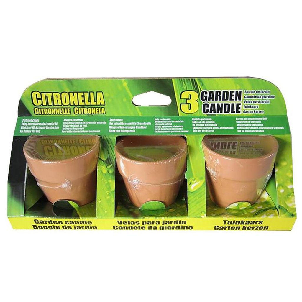 Bougies Basic à la Citronnelle en Pot en Terre Cuite 6,5 cm 3 Pièces