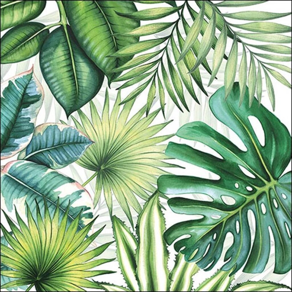 Serviettes Ambiente 33x33cm 20 pièces feuilles