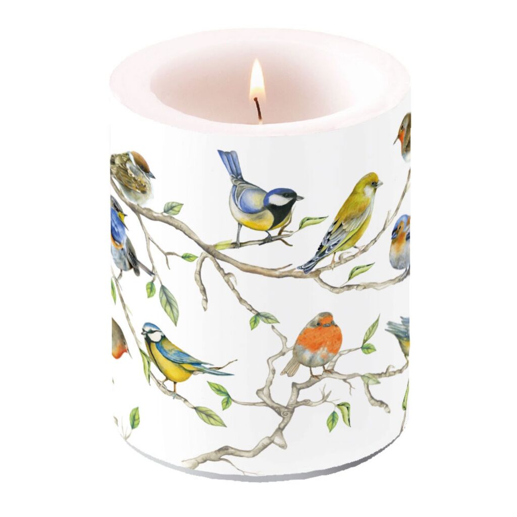 Ambiente Ambiente Bougie Oiseaux brûle vers l'intérieur 75 heures de combustion