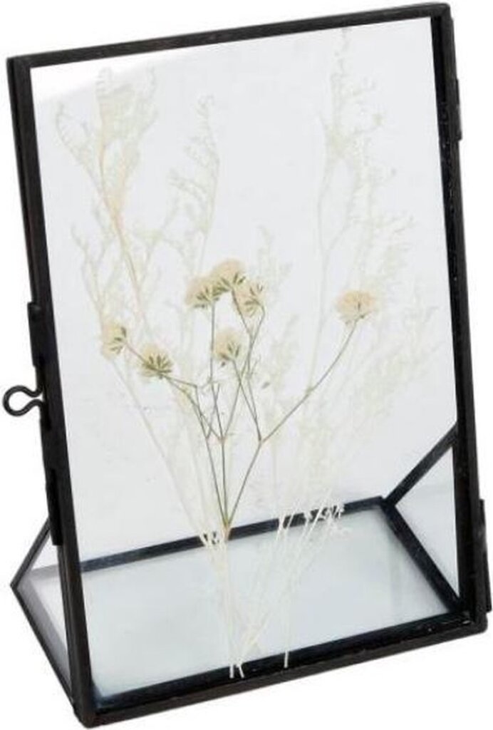 Van Manen Van Manen cadre photo fleurs séchées 11 x 16 cm acier verre noir