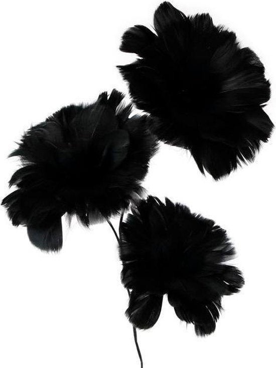 Cadeaux amsterdam cadeaux amsterdam plumes fleurs sur 75 cm noir