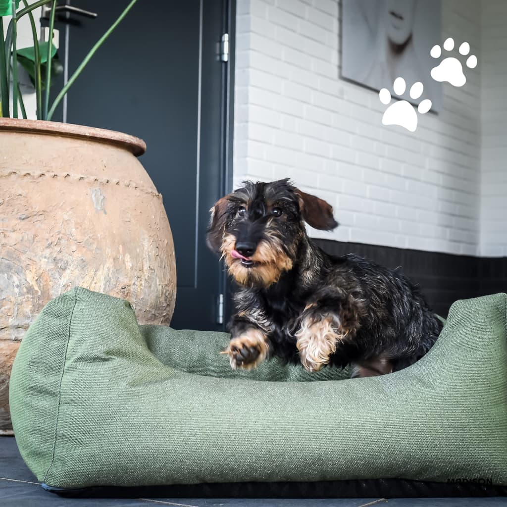 Madison Dog Cushion pour l'extérieur de Manchester 100x80x25 cm taupe
