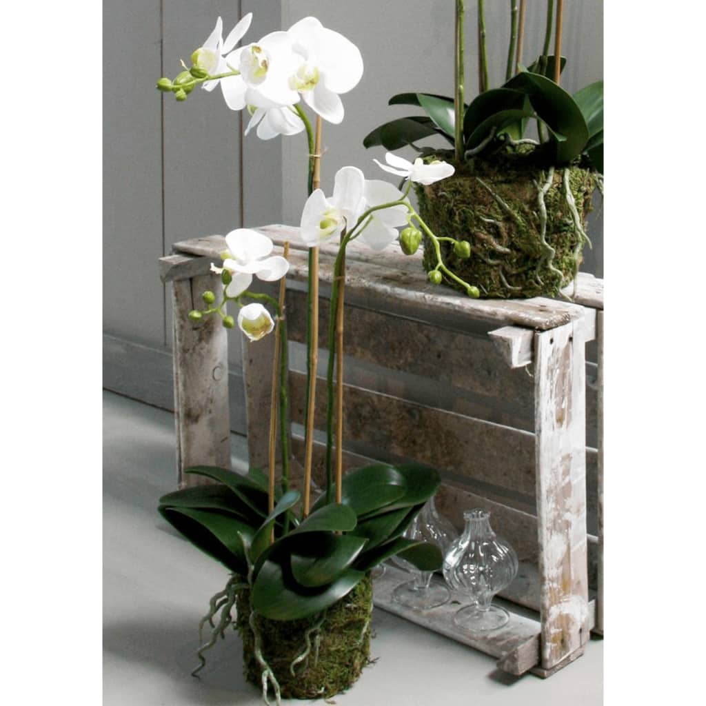 Emerald Art Plant Butterfly Orchid 70 cm blanc