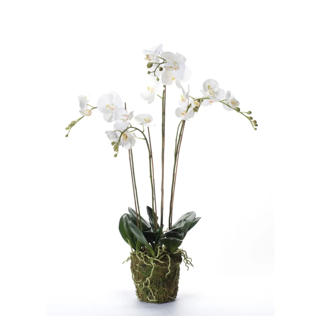 Orchidée de plante d'art émeraude avec de la mousse blanche 90 cm 20,355
