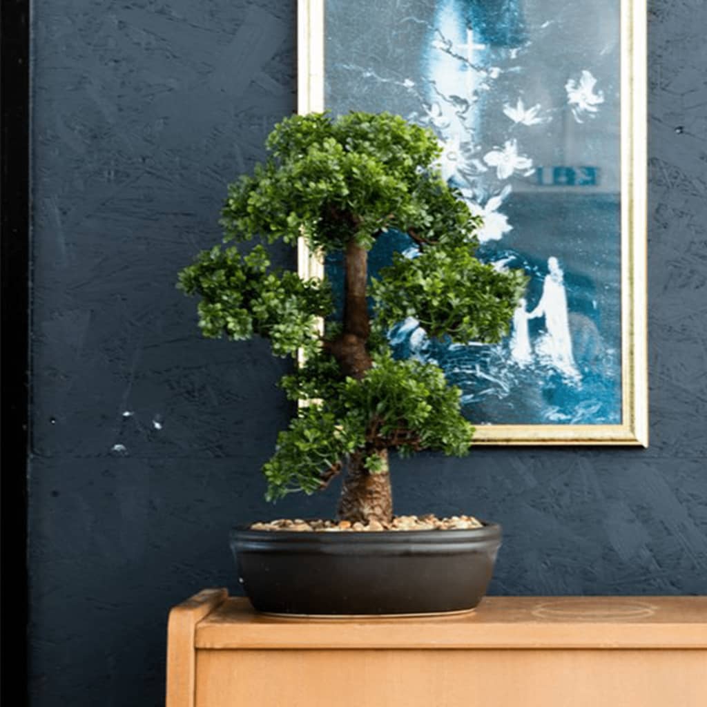 Plante d'art émeraude en marmite Ficus minibonsai 43 cm
