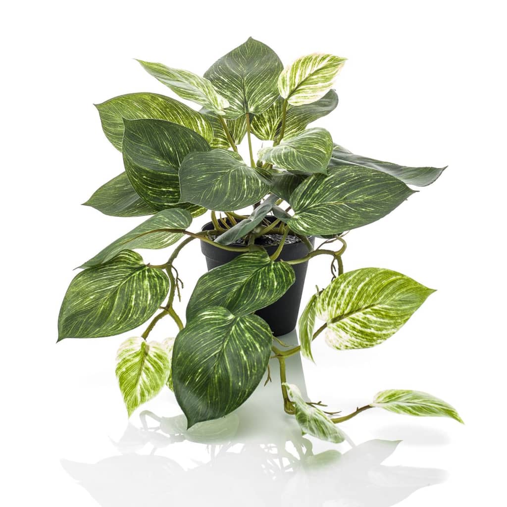 Plante d'art émeraude dans le pot Scindapsus Struik 55 cm