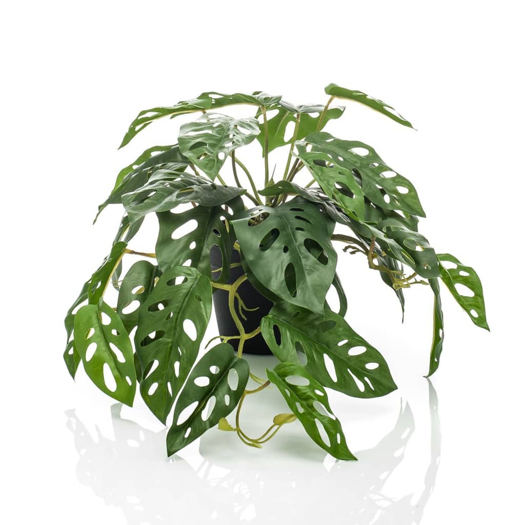 Plante d'art émeraude à Pot Monkey Monstera Struik 55 cm