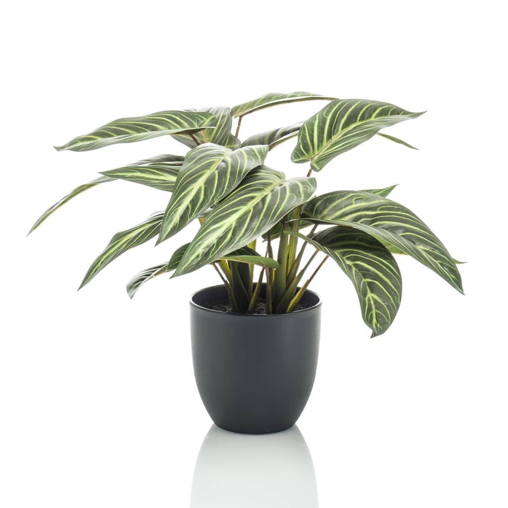 Plante d'art émeraude en pot Zebrina Calathea 38 cm