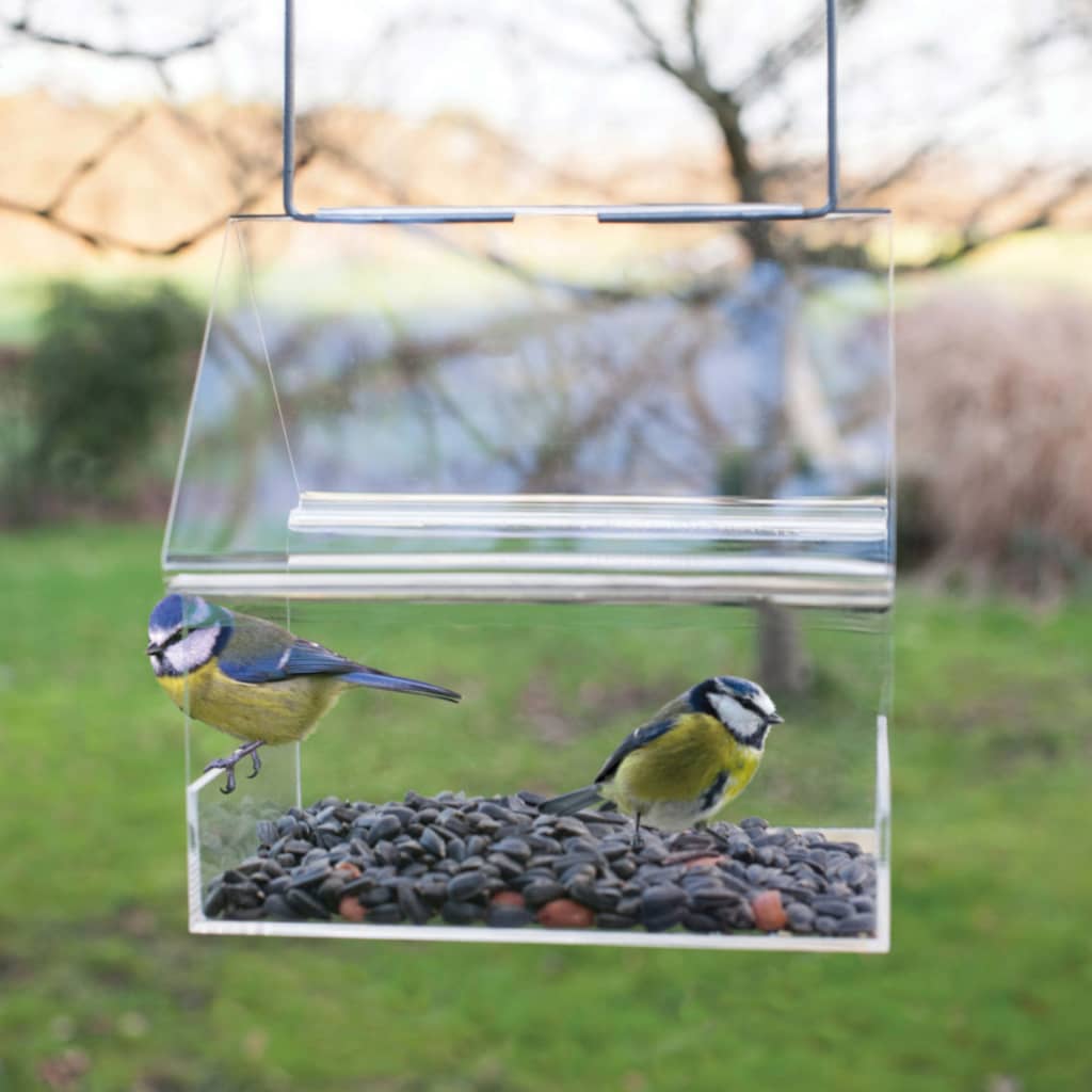 Esschert Design Bird Feed Feed Tabled suspendu acrylique