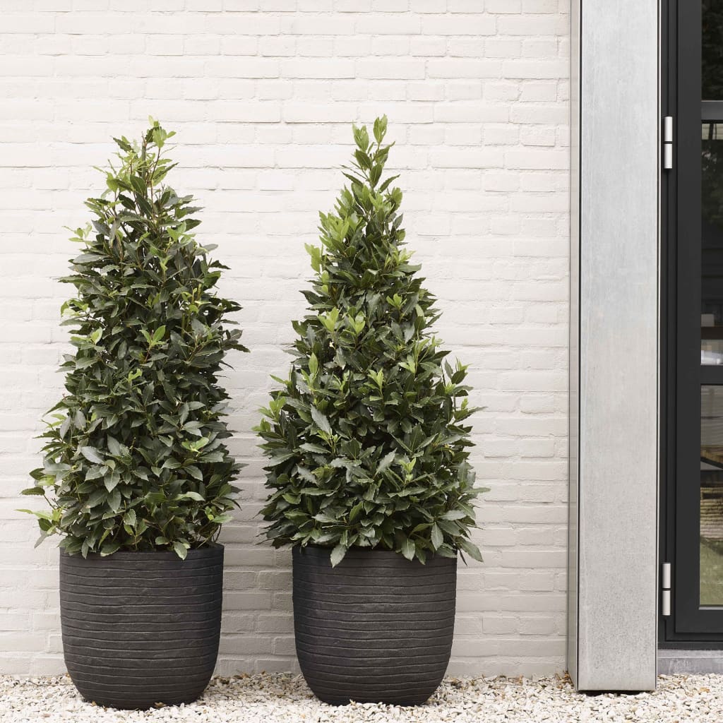 Capi Capi Flowerpot Nature Row 43x41 cm Black Kblro933