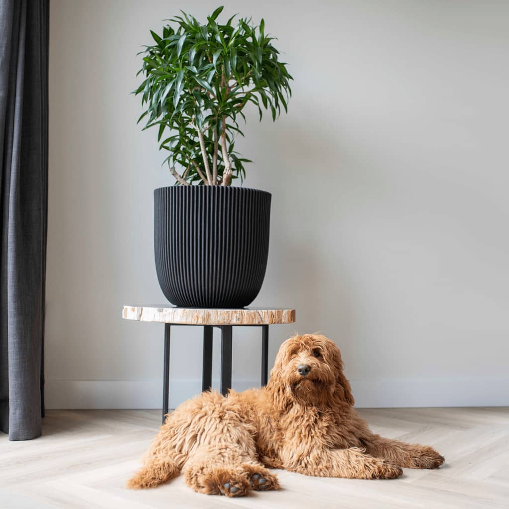 Groove de planter Capi 35x34 cm noir