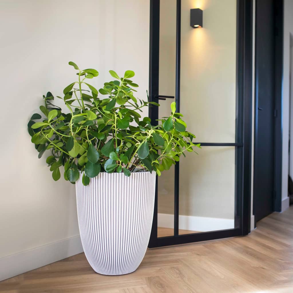 Capi Flowerpot Groove Elegant 46x58 cm Ivory -Colored