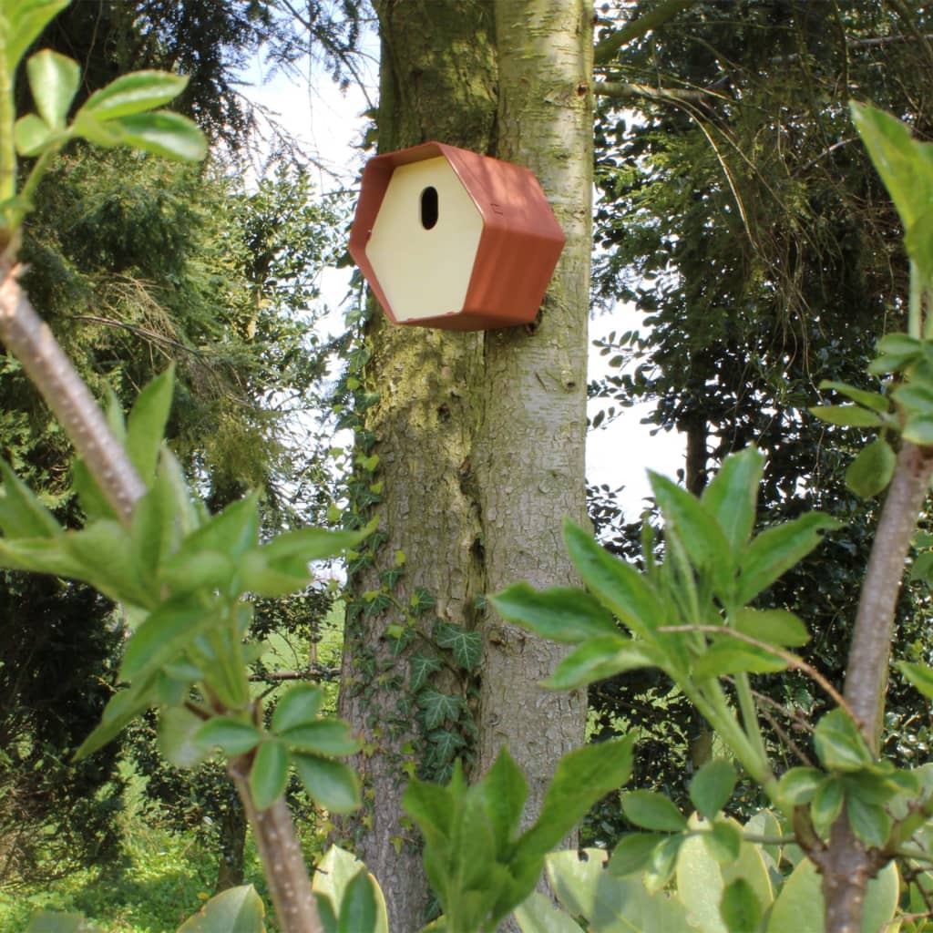 Capi Vogelhuisje Hive 2 Trou ovale 19x23x20 cm brun
