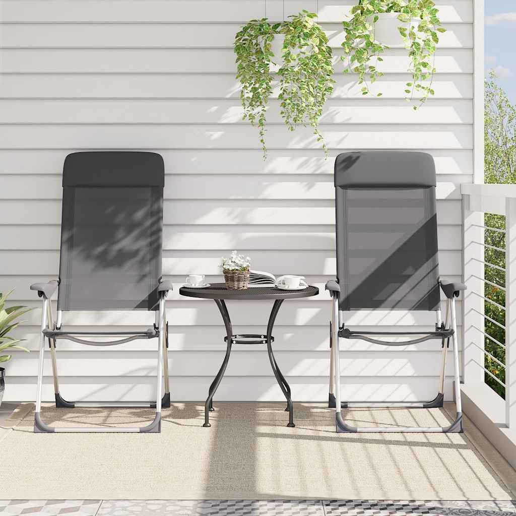 Vidaxl Campsite Chaises 2 PC