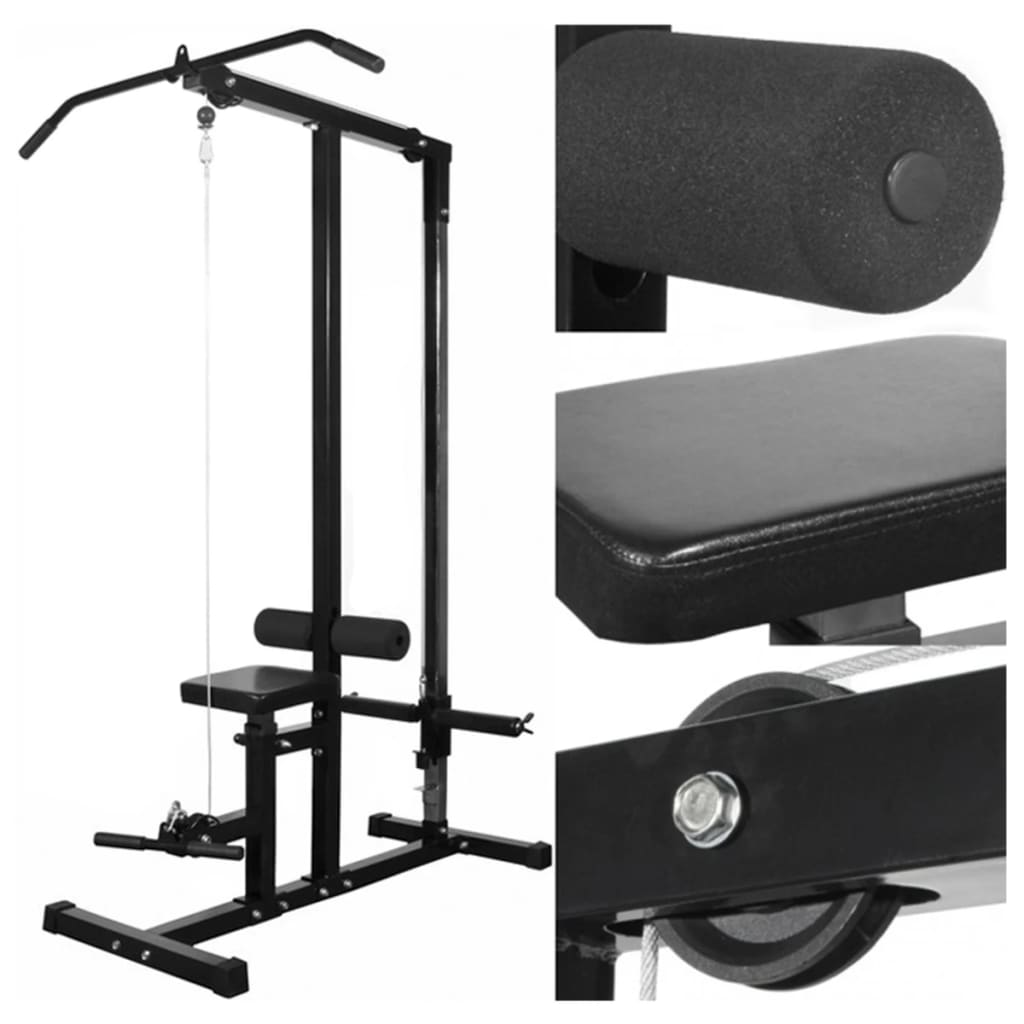 Vidaxl Power Tower avec des disques de poids 40 kg