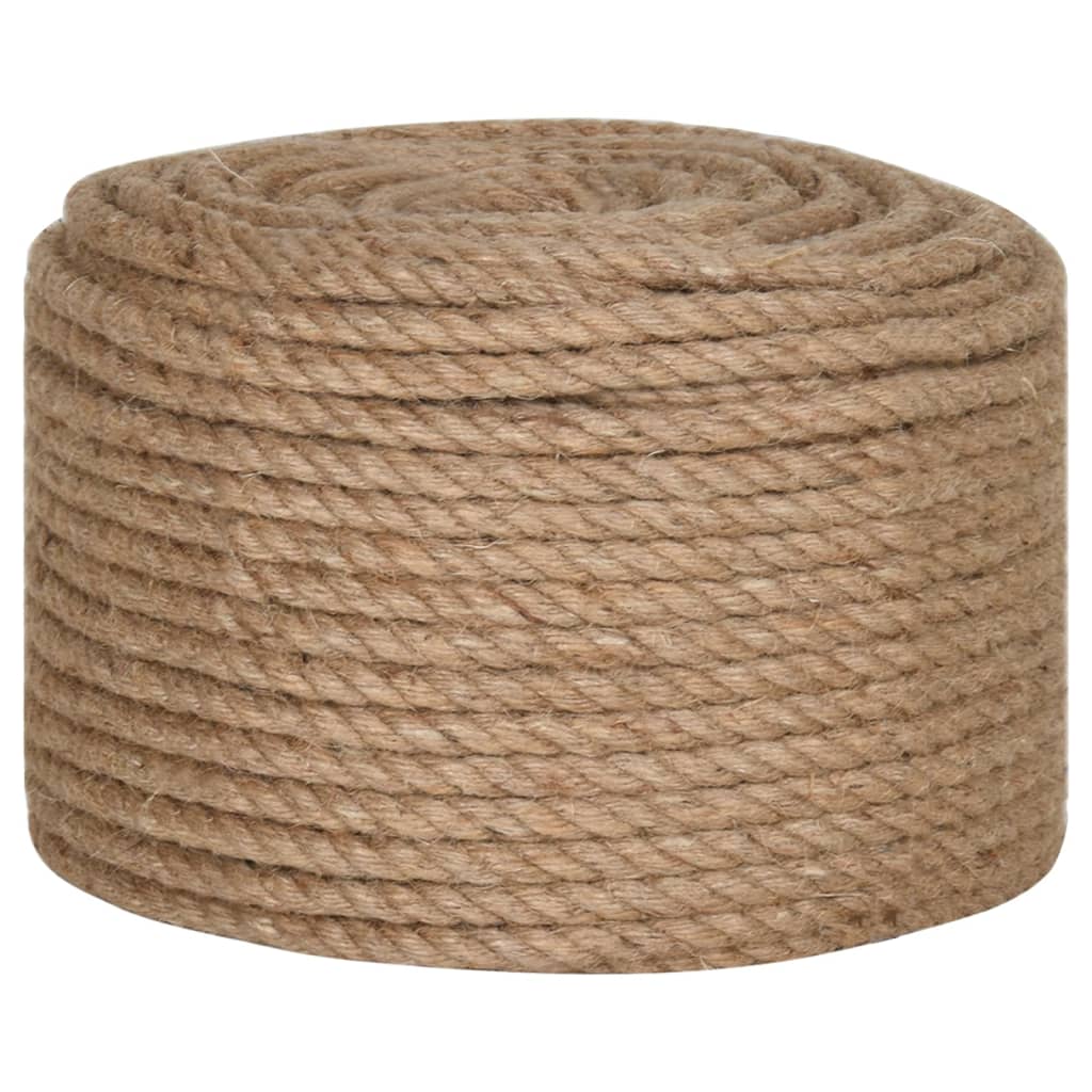 Corde vidaxl 10 mm 250 m 100% jute