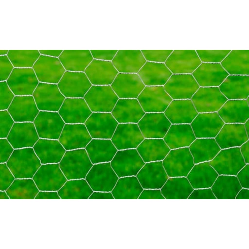 Vidaxl Poulet Fil 25x1 m Galvanisé en acier argenté coloré