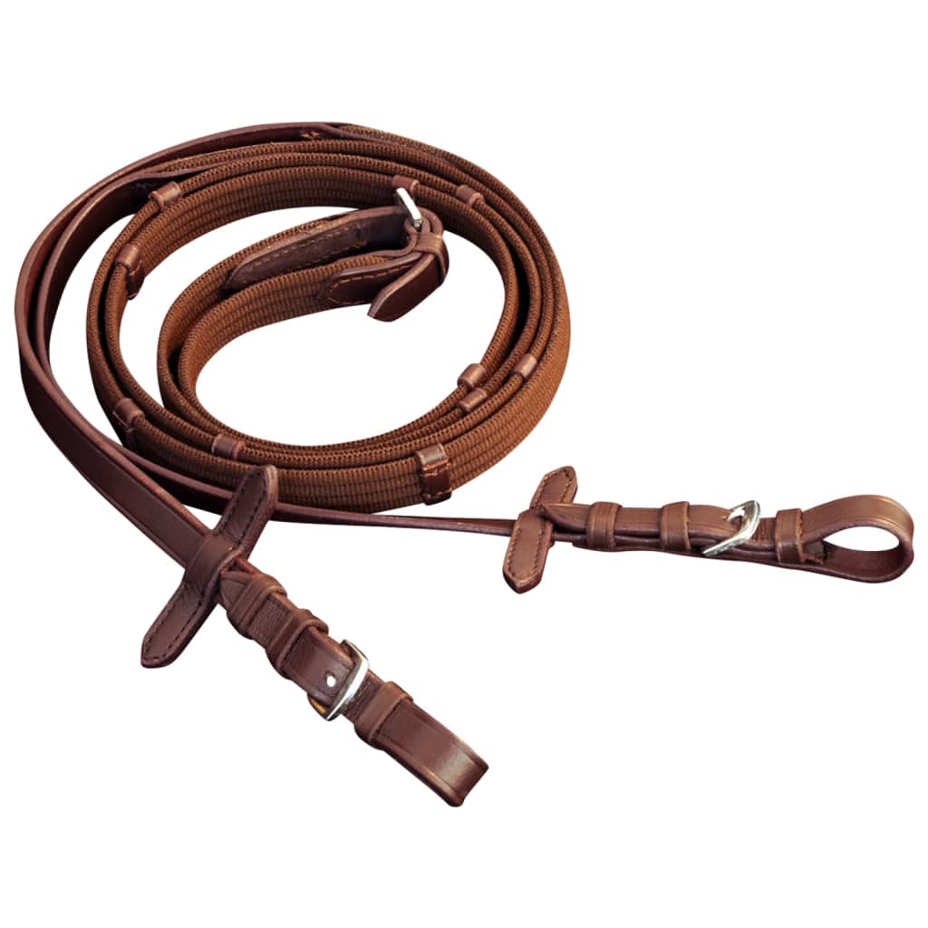 Cuir de bride vidaxl avec coulée de dix combinée, rênes et épi marron un peu