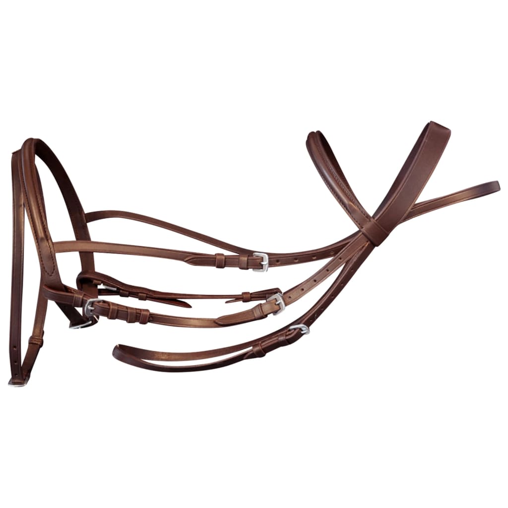 Cuir de bride vidaxl avec coulée de dix combinée, rênes et épi marron un peu