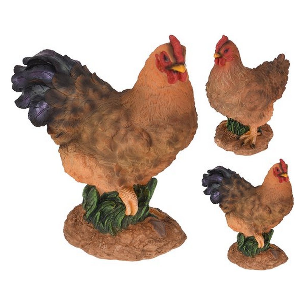Image de base de coq ou de poulet