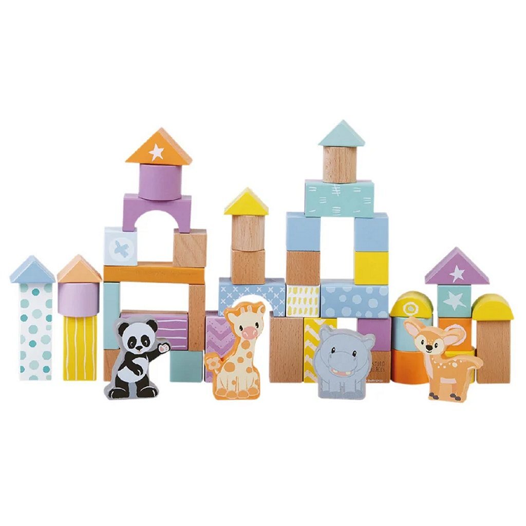 Blocs en bois Studio Circus 50 pièces