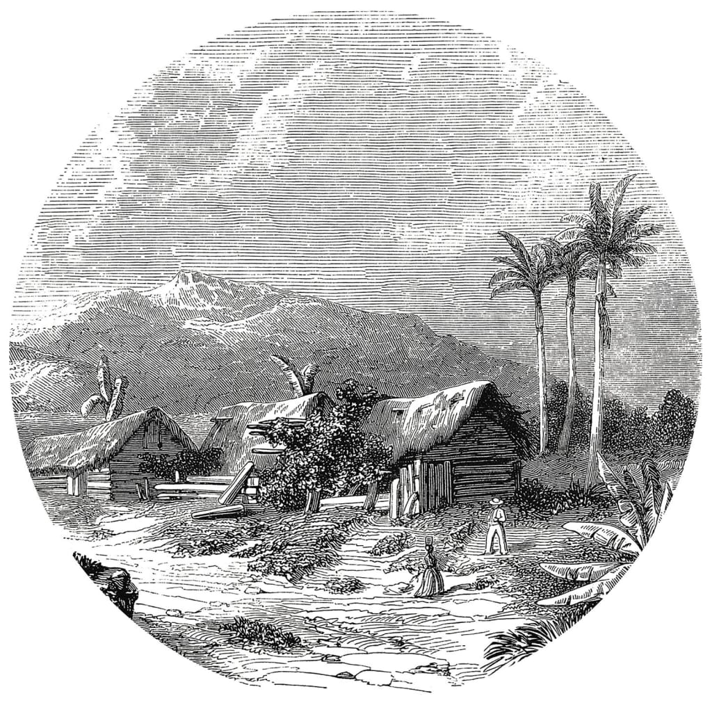 Paysage Walart Wallow Circle de Guadeloupe 190 cm