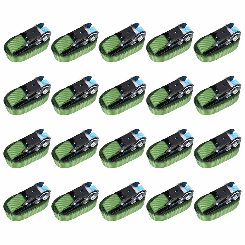 Sangles de tension VidaXL 20 pcs 800 puis 6 m vert
