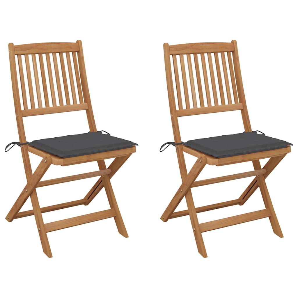 Vidaxl tuinstoelen 2 st inklapbaar met kussens massief acaciahout