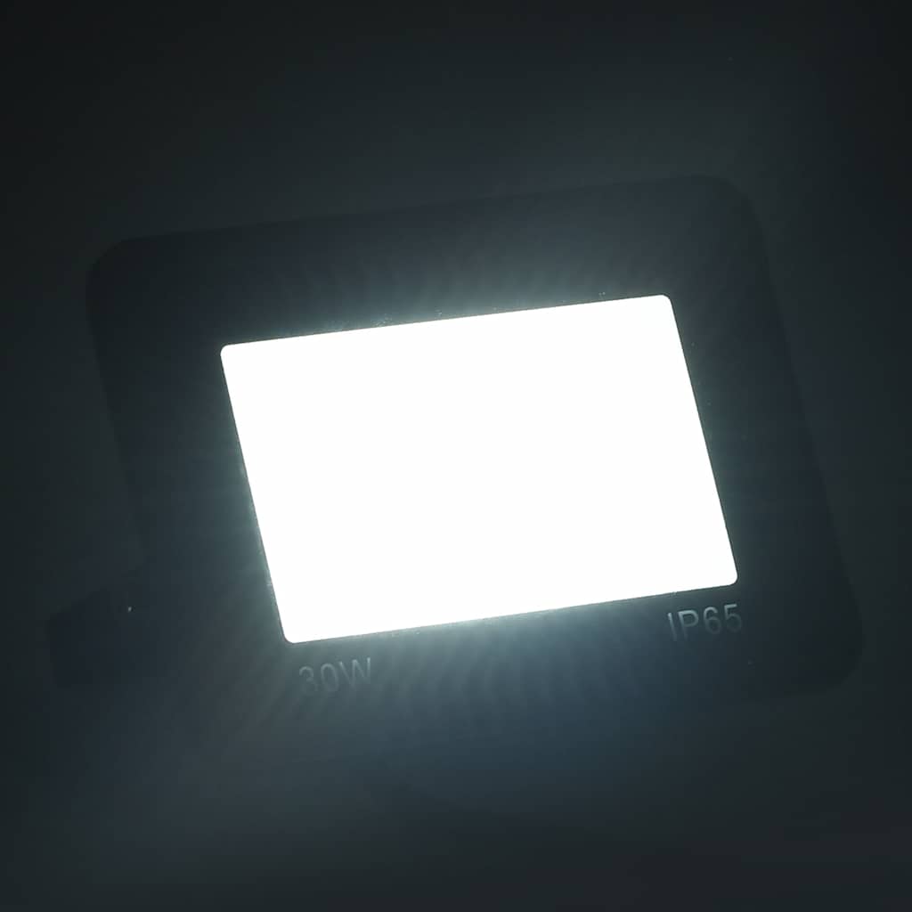 VidaXL spots 2 pcs LED 30 W blanc froid