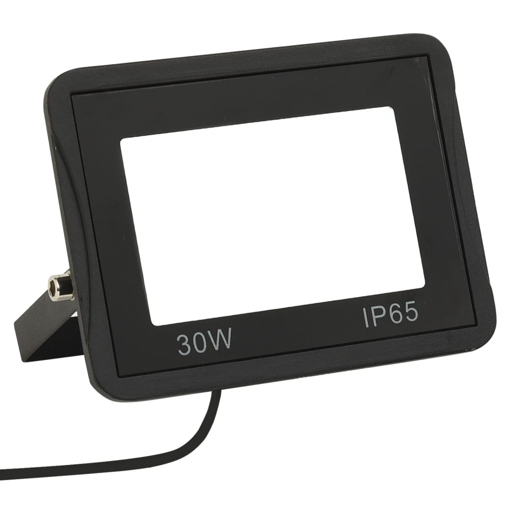 VidaXL spots 2 pcs LED 30 W blanc froid