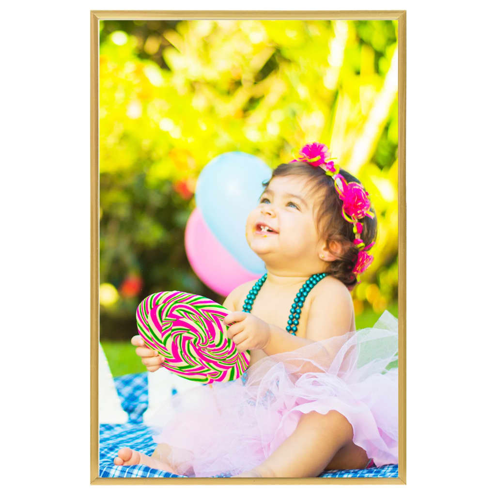 Vidaxl Photo Frames 5 PCS pour le mur ou le tableau 59.4x84 cm MDF or coloré