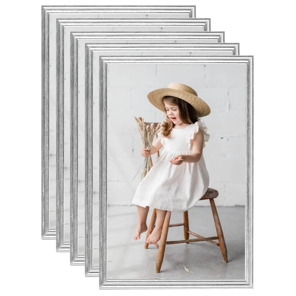 Vidaxl Photo Frames 5 PCS pour le mur ou le tableau 59.4x84 cm Colore en argent