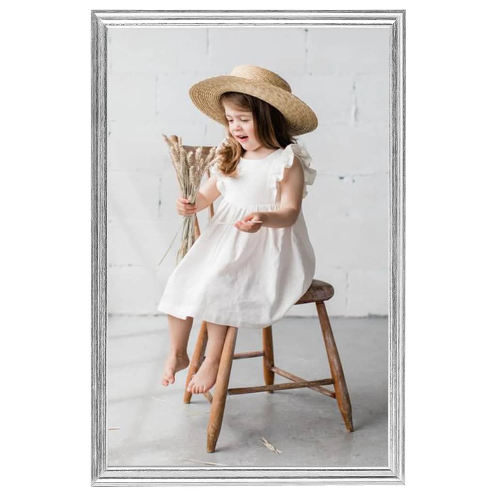 Vidaxl Photo Frames 5 PCS pour le mur ou le tableau 59.4x84 cm Colore en argent