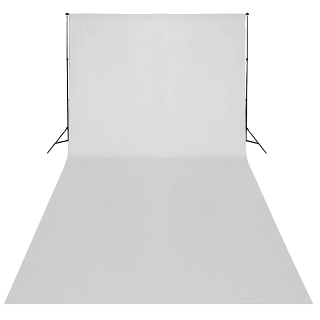 Ensemble de studio photo Vidaxxl avec kit d'éclairage et arrière-plan